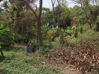 Similar image 22120835