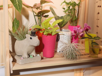 Similar image 22120836