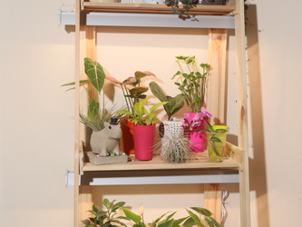 Similar image 22120837