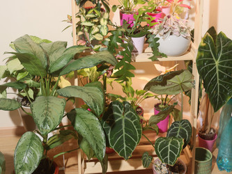 Similar image 22120838