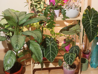 Similar image 22120839