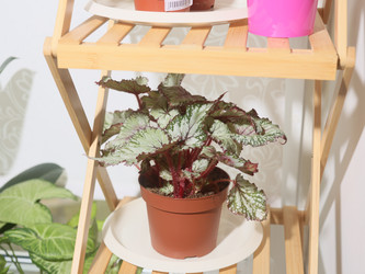 Similar image 22120840