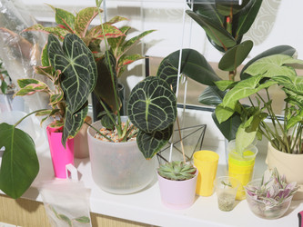 Similar image 22120841