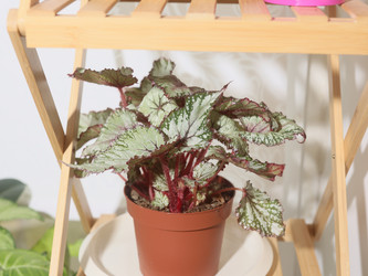 Similar image 22120843