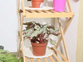 Similar image 22120844