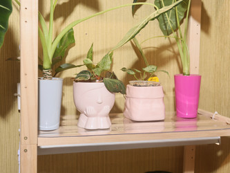 Similar image 22120846