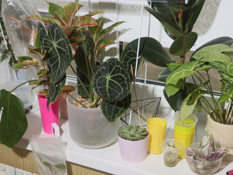 Similar image 22120849