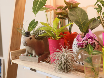 Similar image 22120850