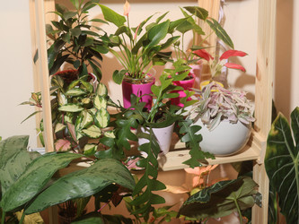 Similar image 22120856