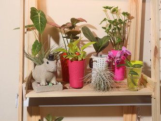 Similar image 22120858