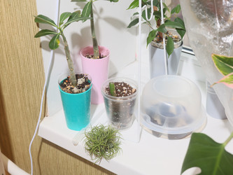 Similar image 22120859