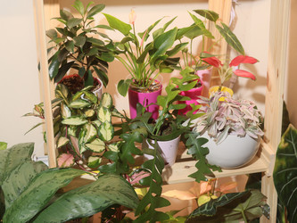 Similar image 22120861