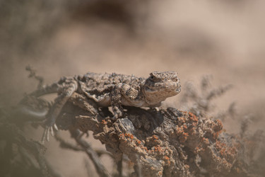 Similar image 22101293