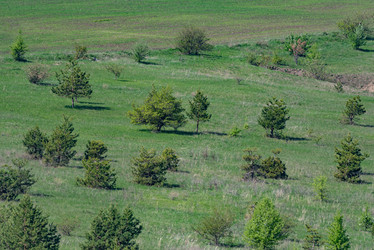 Similar image 22101294