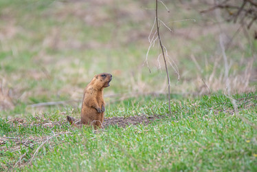 Similar image 22101296