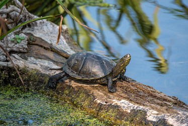 Similar image 22101298