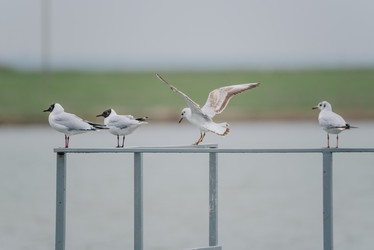 Similar image 22101300