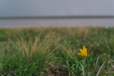 Similar image 22101131