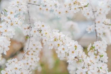 Similar image 22101301