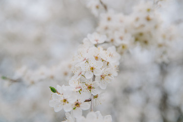 Similar image 22101302