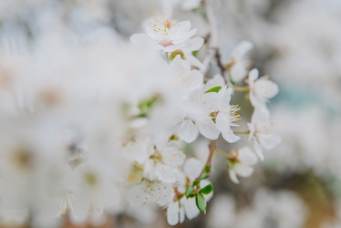 Similar image 22101303