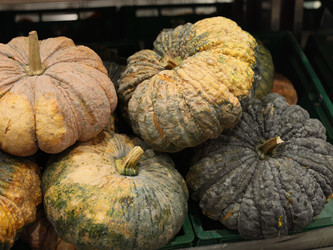 Similar image 22120340