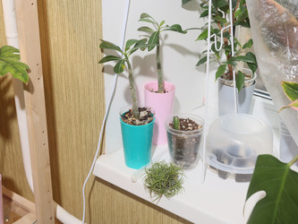 Similar image 22120344