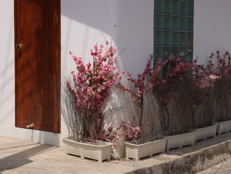 Similar image 22120347