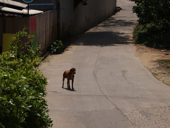 Similar image 22120354