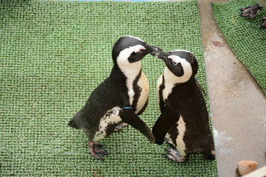 Similar image 22109523