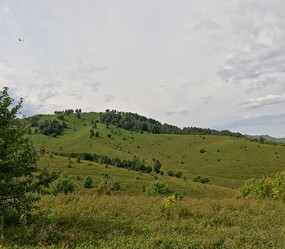 Similar image 22106029