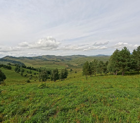 Similar image 22106035