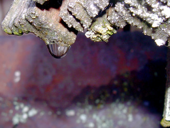 Similar image 22106045