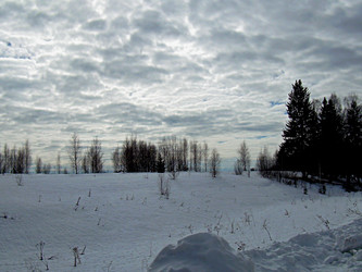 Similar image 22106048