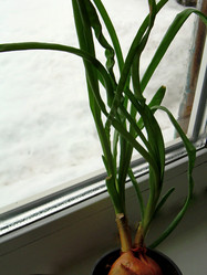 Similar image 22106049