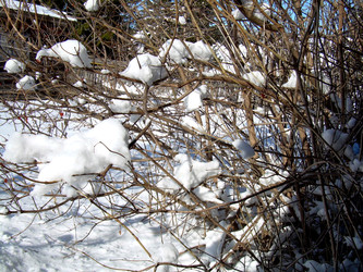 Similar image 22106056