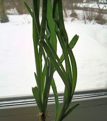 Similar image 22106059