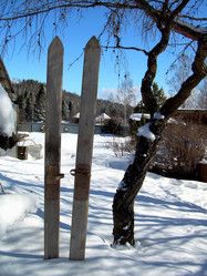 Similar image 22106061