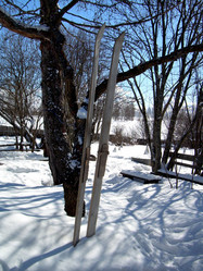 Similar image 22106062