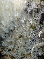 Similar image 22106064