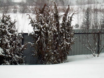 Similar image 22106075