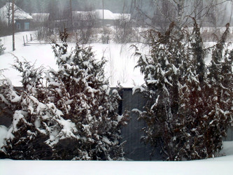 Similar image 22106076