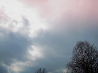 Similar image 22106077