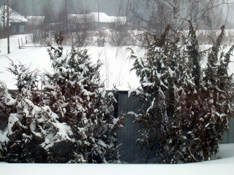 Similar image 22106079