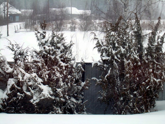 Similar image 22106080