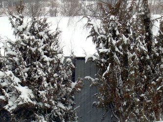 Similar image 22106082