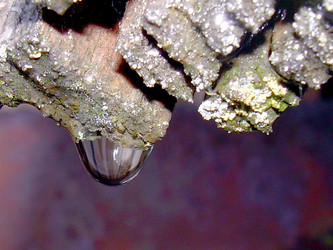 Similar image 22106084