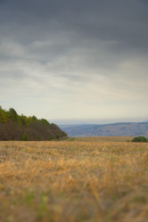 Similar image 22105939