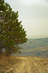 Similar image 22105940