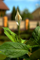 Similar image 22105942